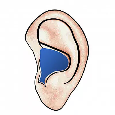 Hörgeräte auf dem Ohr 2
