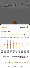 Equalizer