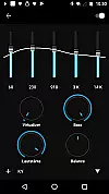 Cowin KY02 Equalizer